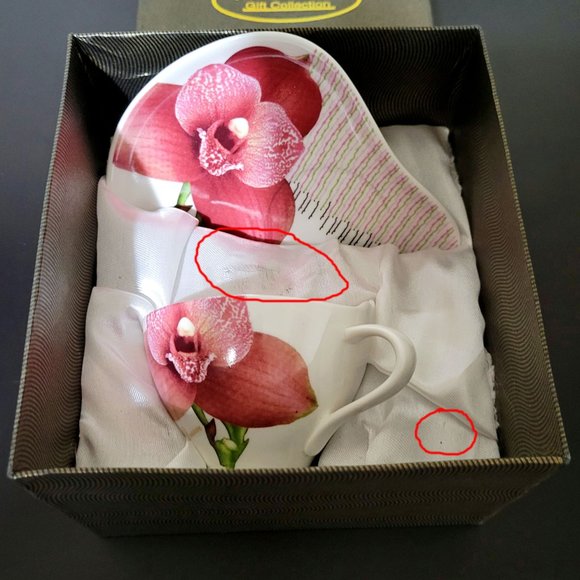 Royal Elfreda Flower Cup & Saucer - Lycaste Wyld Dream - Picture 10 of 13